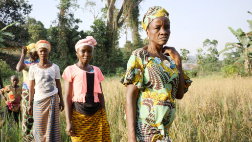 The women in Sama Village in Eastern Sierra Leone took us on a long hike to see their rice fields, and I snapped a few photos along the way.